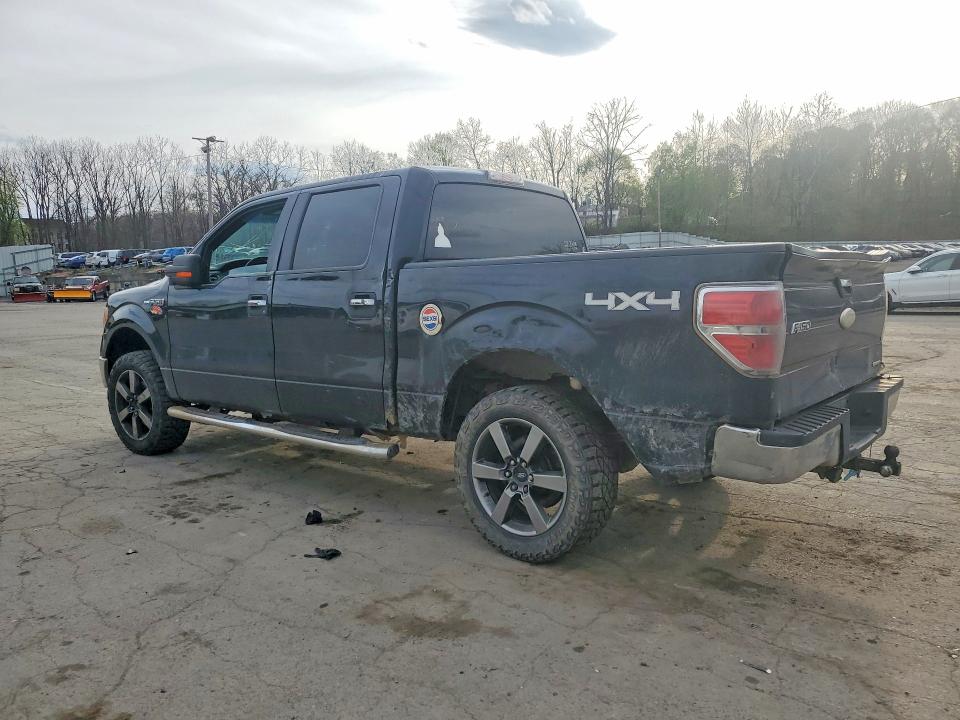 50264256 :رقم المزاد ، 1FTFW1EF3BFC76281 vin ، 2011 Ford F150 مزاد بيع
