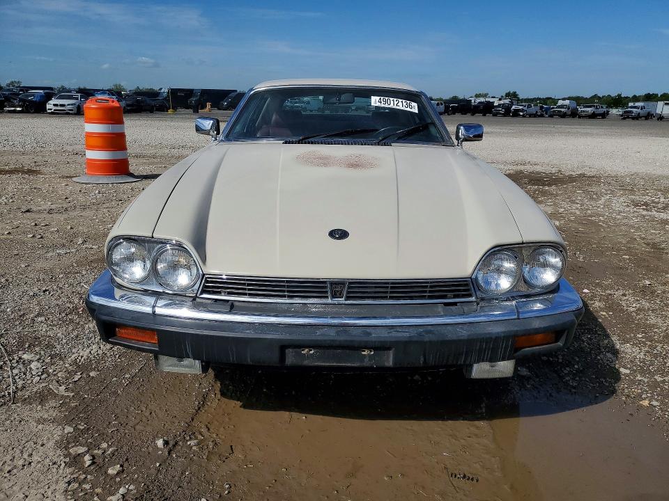 49012136 :رقم المزاد ، SAJNV5846EC117052 vin ، 1984 Jaguar Xjs مزاد بيع