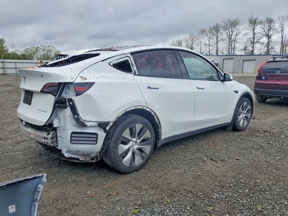 Продаж на аукціоні авто 2023 Tesla Model Y, vin: 7SAYGDEE1PF804249, номер лоту: 49501426