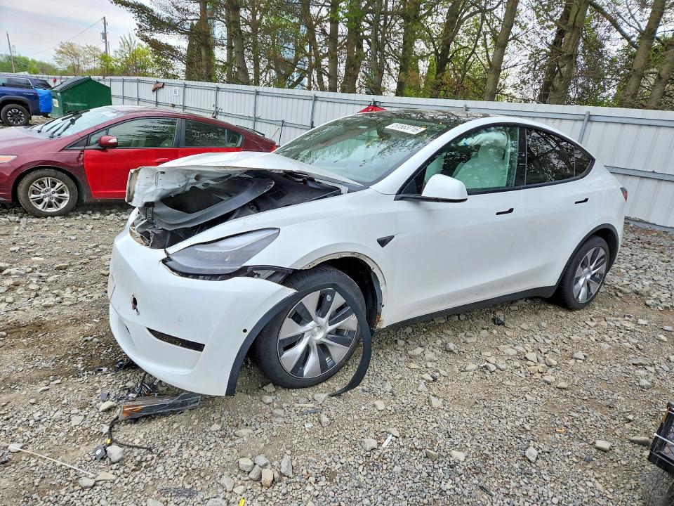 Продаж на аукціоні авто 2022 Tesla Model Y, vin: 7SAYGDEE5NF563339, номер лоту: 51563716