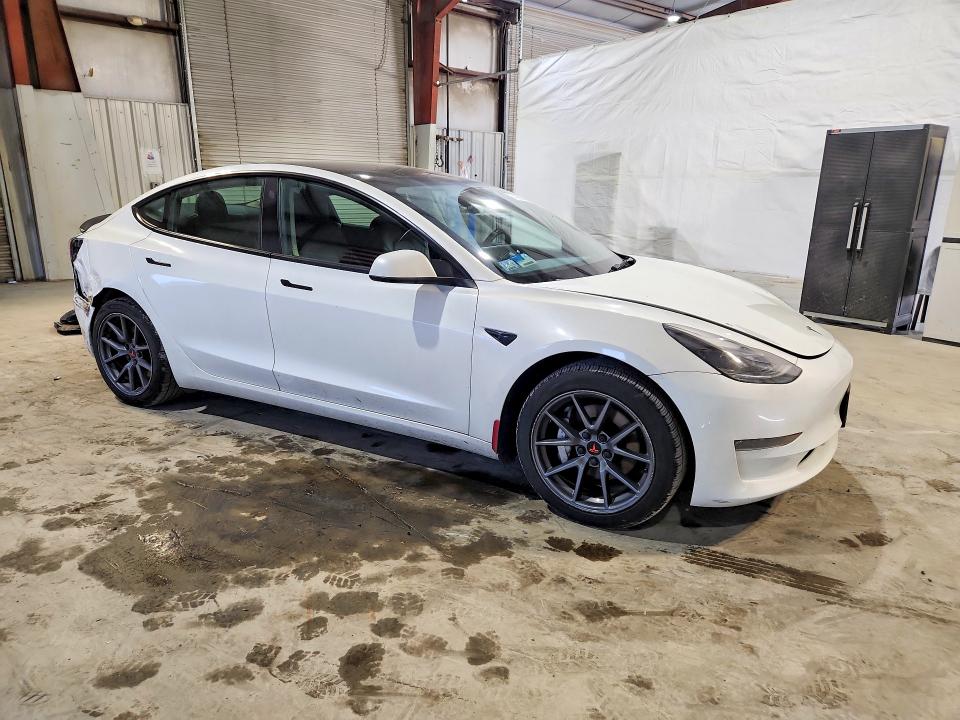 2023 Tesla Model 3 მანქანა იყიდება აუქციონზე, vin: 5YJ3E1EAXPF550954, აუქციონის ნომერი: 49894506