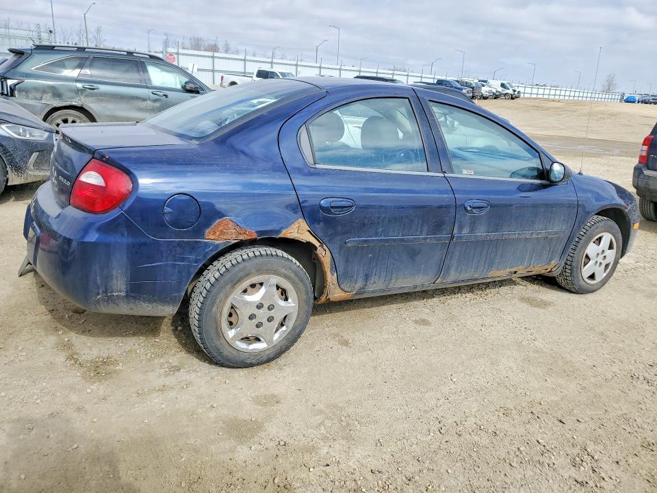 Продаж на аукціоні авто 2005 Dodge Neon, vin: 1B3ES46C55D143195, номер лоту: 49432886