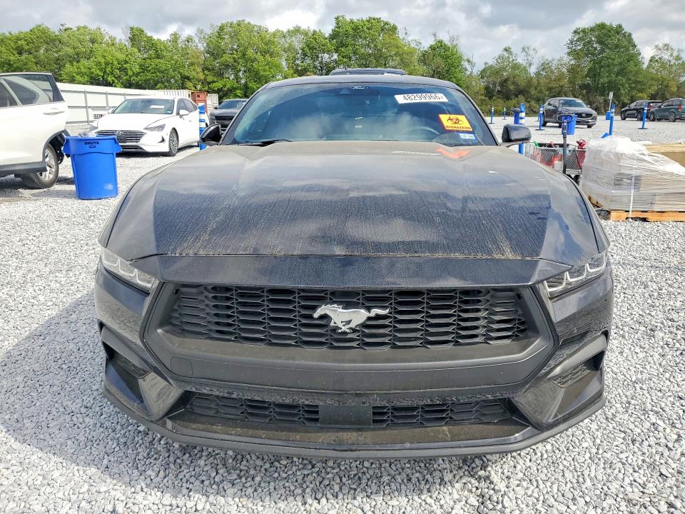 48299966 :رقم المزاد ، 1FA6P8THXS5101340 vin ، 2025 Ford Mustang مزاد بيع