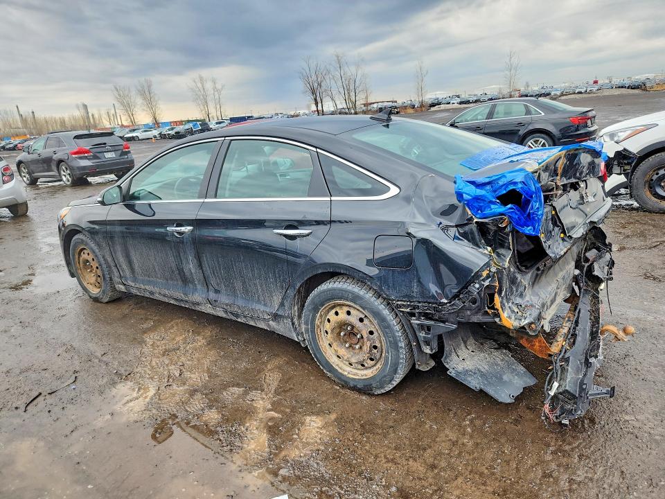 48798356 :رقم المزاد ، 5NPE24AF7HH459390 vin ، 2017 Hyundai Sonata مزاد بيع