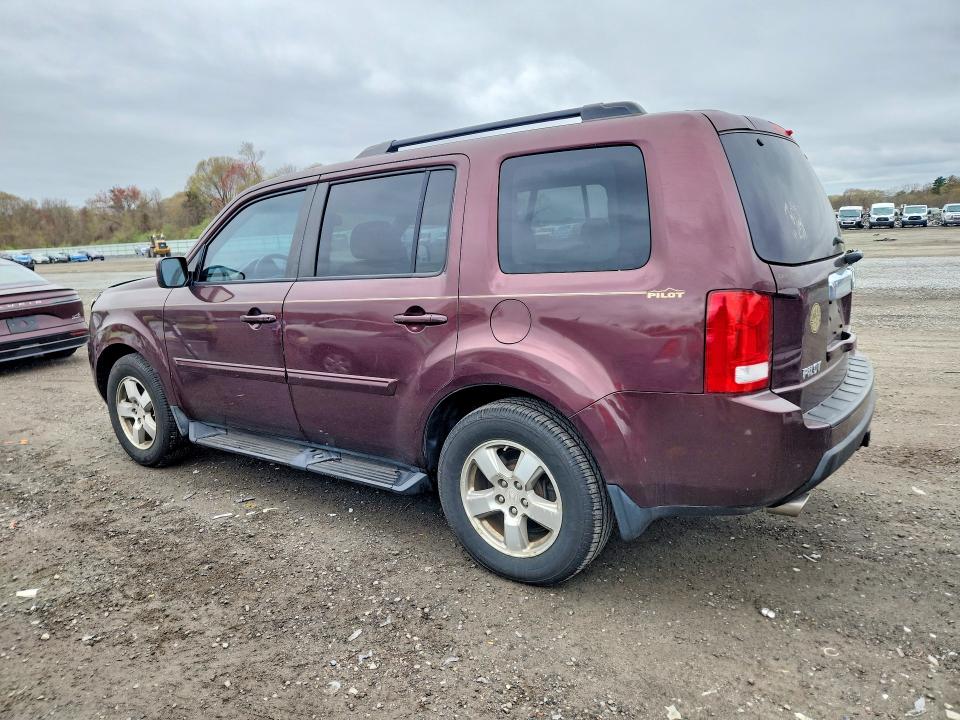 52037566 :رقم المزاد ، 5FNYF4H51BB096993 vin ، 2011 Honda Pilot مزاد بيع