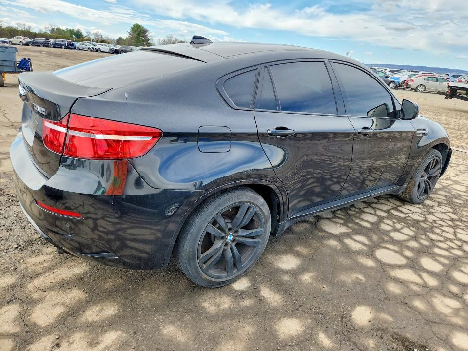 Продаж на аукціоні авто 2013 Bmw X6, vin: 5YMGZ0C59DLL30078, номер лоту: 48312076