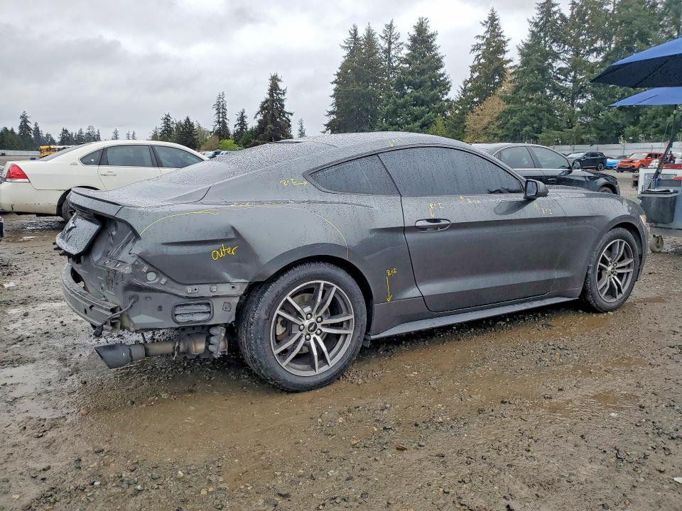 Продаж на аукціоні авто 2017 Ford Mustang, vin: 1FA6P8TH0H5318968, номер лоту: 50681456