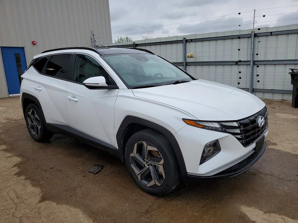 Продаж на аукціоні авто 2024 Hyundai Tucson, vin: KM8JCCD14RU213535, номер лоту: 51105946