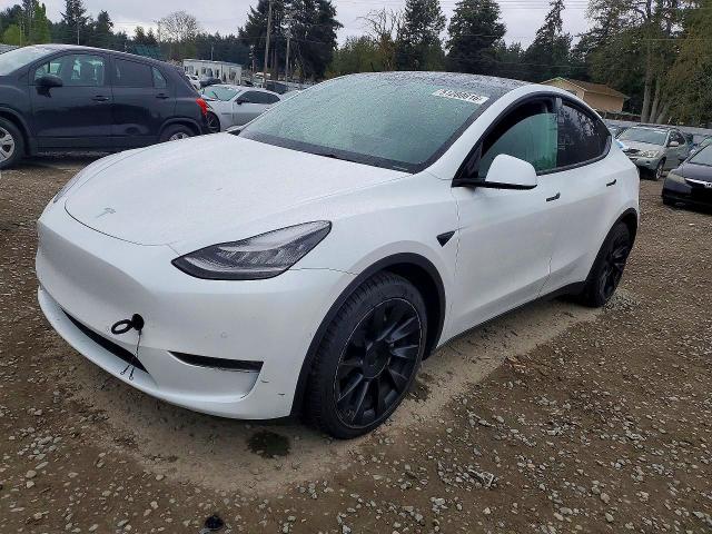 Продаж на аукціоні авто 2021 Tesla Model Y, vin: 5YJYGDEE5MF097486, номер лоту: 51280816