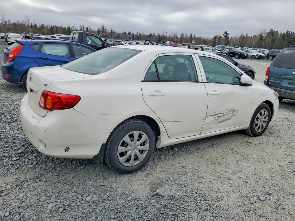 51456556 :رقم المزاد ، 2T1BU40EX9C022980 vin ، 2009 Toyota Corolla مزاد بيع