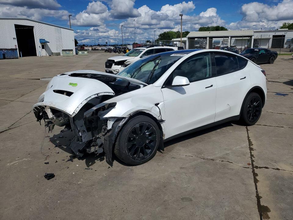 Продаж на аукціоні авто 2023 Tesla Model Y, vin: 7SAYGDEE4PF676072, номер лоту: 50933896