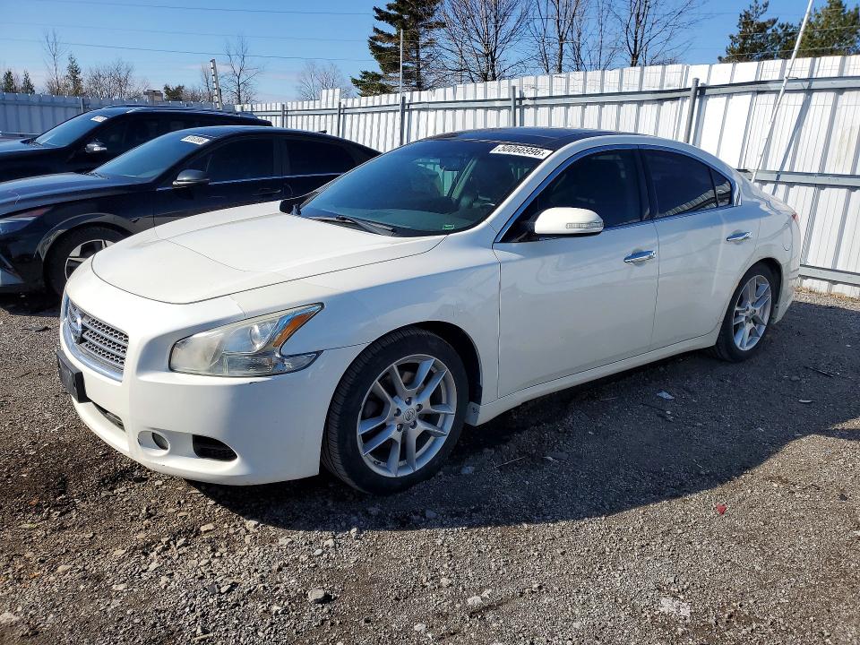 Продаж на аукціоні авто 2011 Nissan Maxima, vin: 1N4AA5AP2BC857454, номер лоту: 50066996