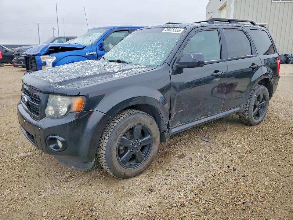 49875656 :رقم المزاد ، 1FMCU9DG5BKC14952 vin ، 2011 Ford Escape مزاد بيع