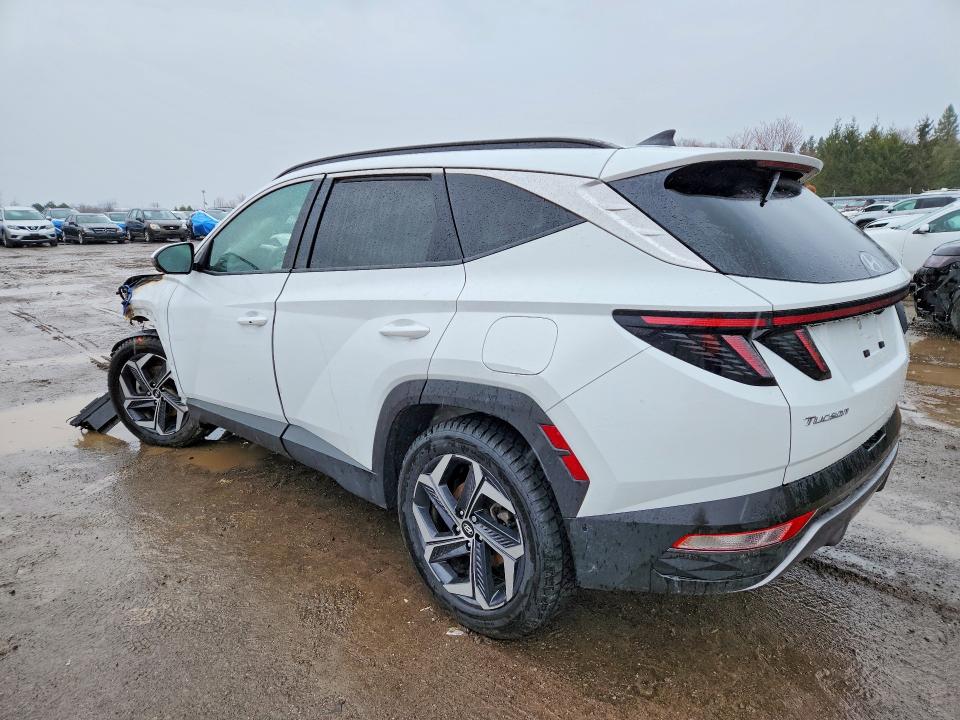 Продаж на аукціоні авто 2024 Hyundai Tucson Ultimate Phev 4dr Awd, vin: KM8JDDD26RU162194, номер лоту: 49026706