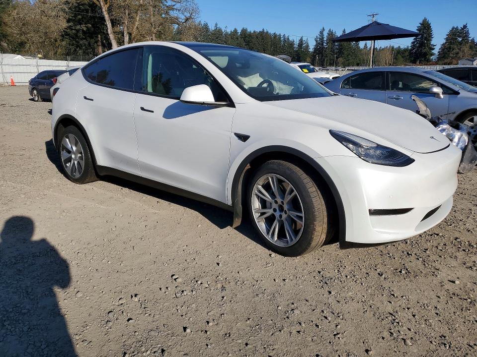 48691456 :رقم المزاد ، 5YJYGDEE1MF242829 vin ، 2021 Tesla Model Y مزاد بيع