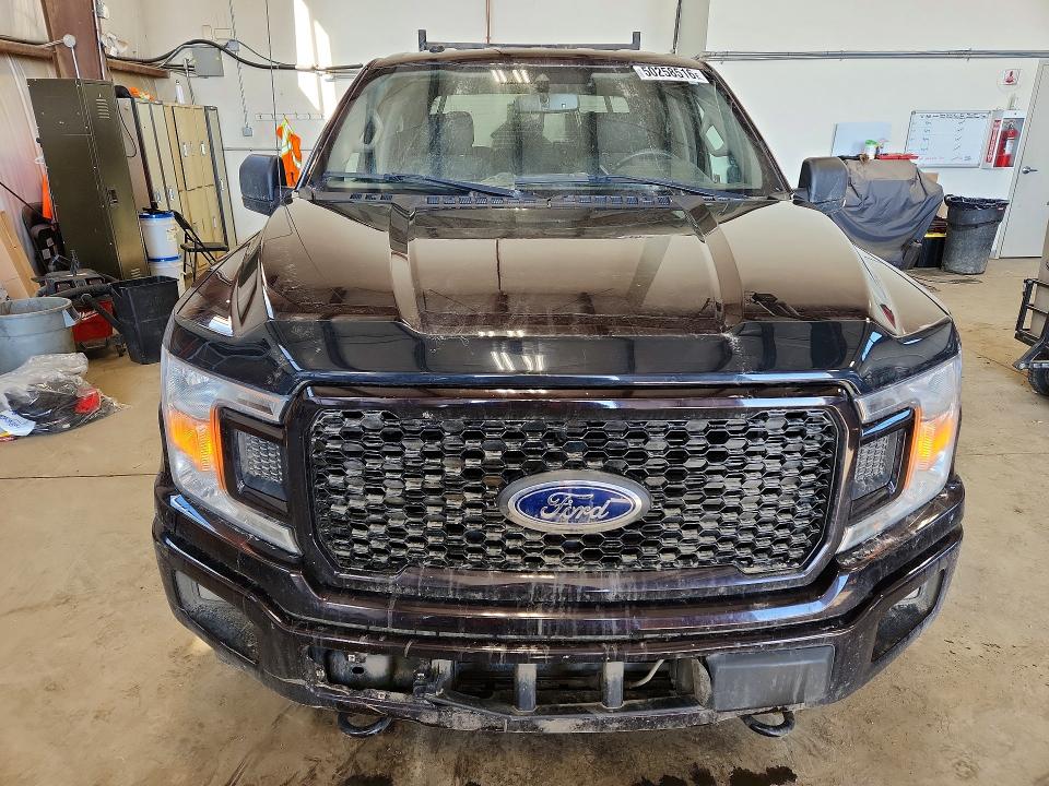 50258516 :رقم المزاد ، 1FTEW1EP5KKE54381 vin ، 2019 Ford F150 مزاد بيع