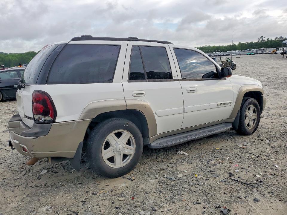 2002 Chevrolet Trailblazer მანქანა იყიდება აუქციონზე, vin: 1GNDS13S922411863, აუქციონის ნომერი: 51674276