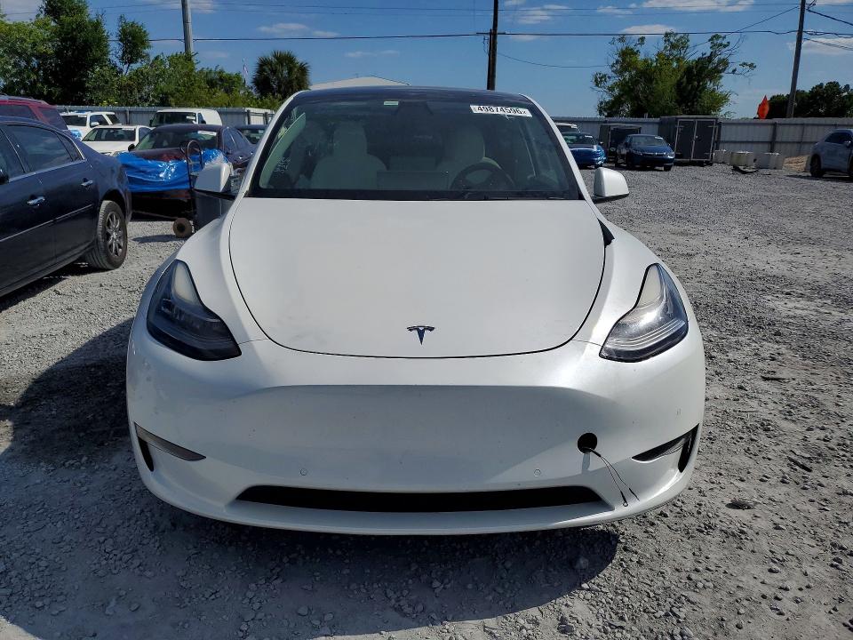 Продаж на аукціоні авто 2021 Tesla Model Y, vin: 5YJYGDED9MF103409, номер лоту: 49874596