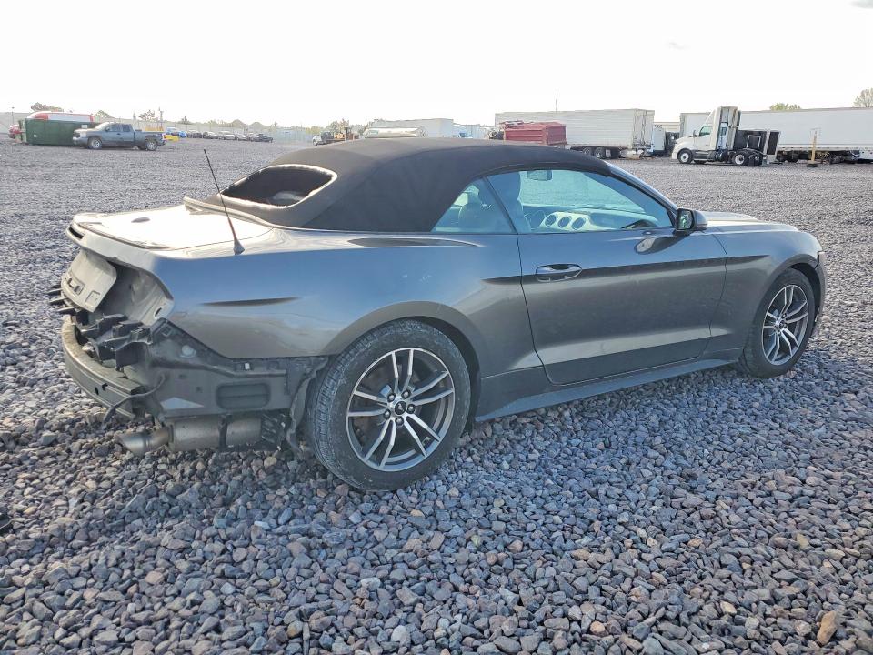 49641226 :رقم المزاد ، 1FATP8UH7H5204256 vin ، 2017 Ford Mustang مزاد بيع