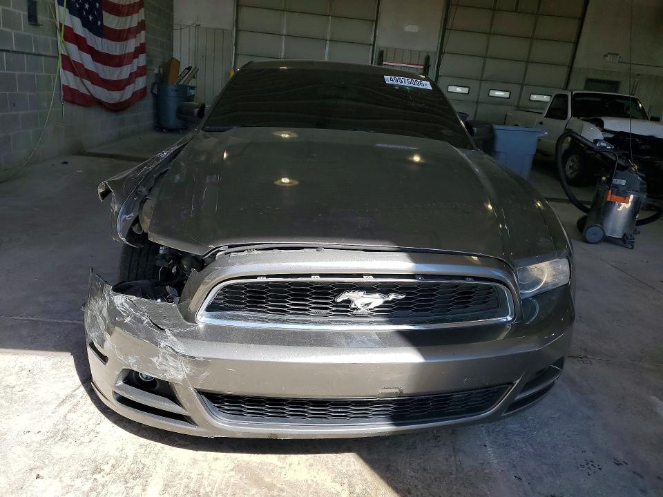 Продаж на аукціоні авто 2014 Ford Mustang, vin: 1ZVBP8AM9E5204081, номер лоту: 49575096