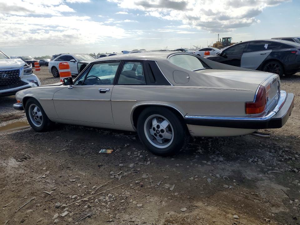 49012136 :رقم المزاد ، SAJNV5846EC117052 vin ، 1984 Jaguar Xjs مزاد بيع