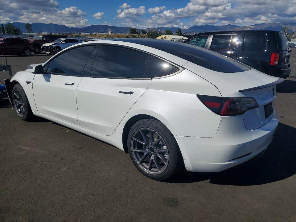 Продаж на аукціоні авто 2021 Tesla Model 3, vin: 5YJ3E1EA4MF024864, номер лоту: 49498576