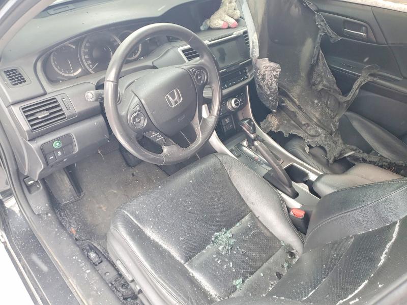 48631466 :رقم المزاد ، 1HGCR2F93DA801088 vin ، 2013 Honda Accord مزاد بيع