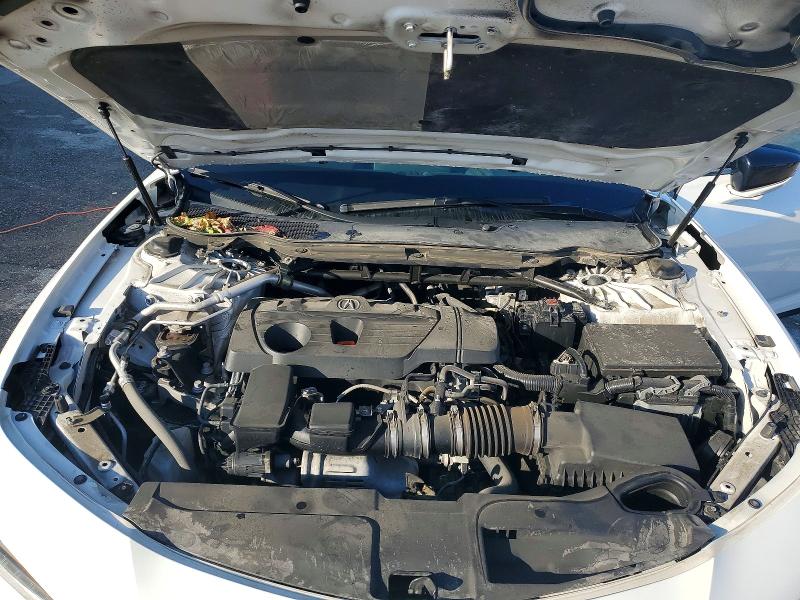 Продаж на аукціоні авто 2021 Acura Tlx, vin: 19UUB6F42MA003203, номер лоту: 49434026