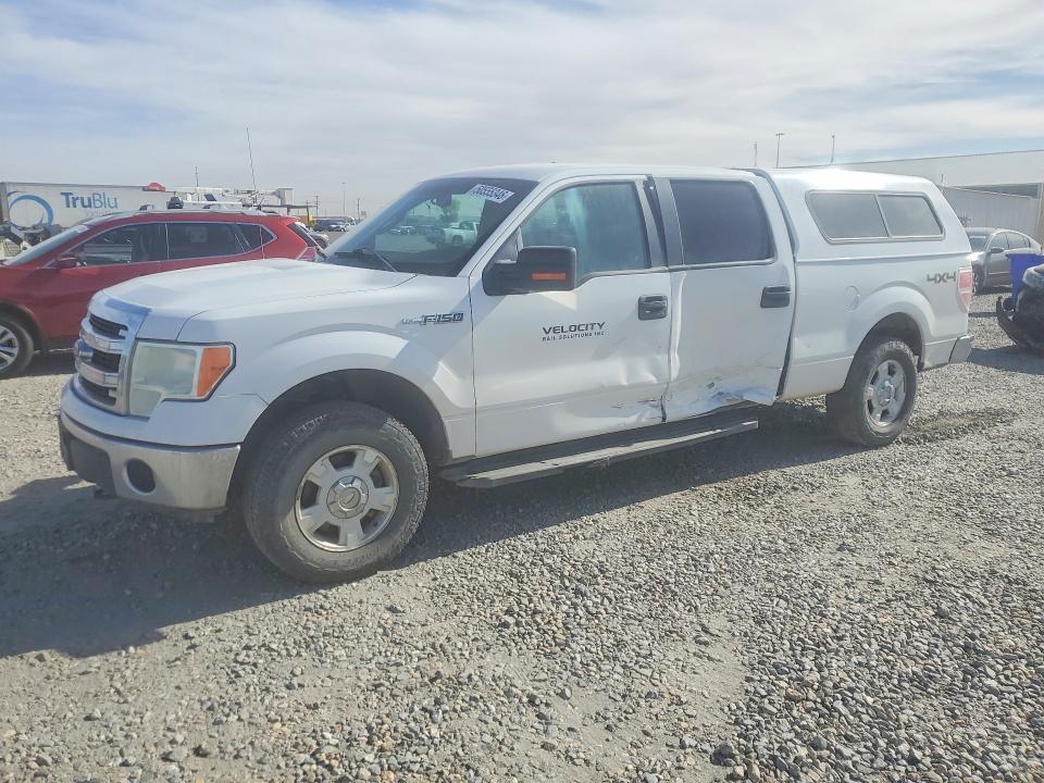 50555346 :رقم المزاد ، 1FTFW1EF1DFC21170 vin ، 2013 Ford F150 مزاد بيع