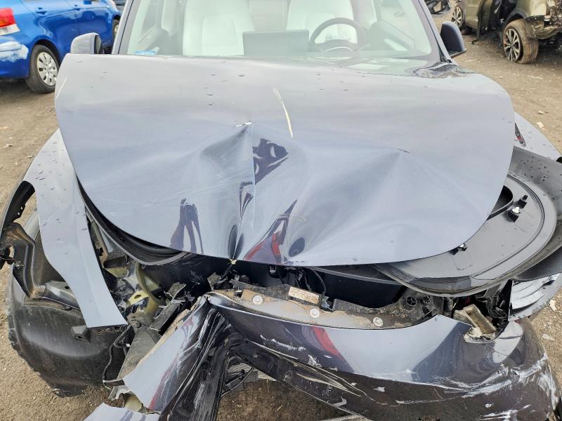 Aukcja sprzedaży 2025 Tesla Model Y, vin: 7SAYGDEF5SA351056, numer aukcji: 49941096