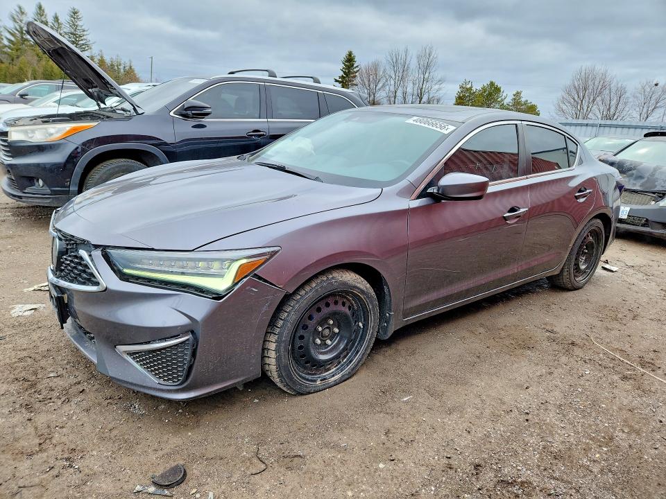 Auction sale of the 2021 Acura Ilx, vin: 19UDE2F71MA800388, lot number: 48066656