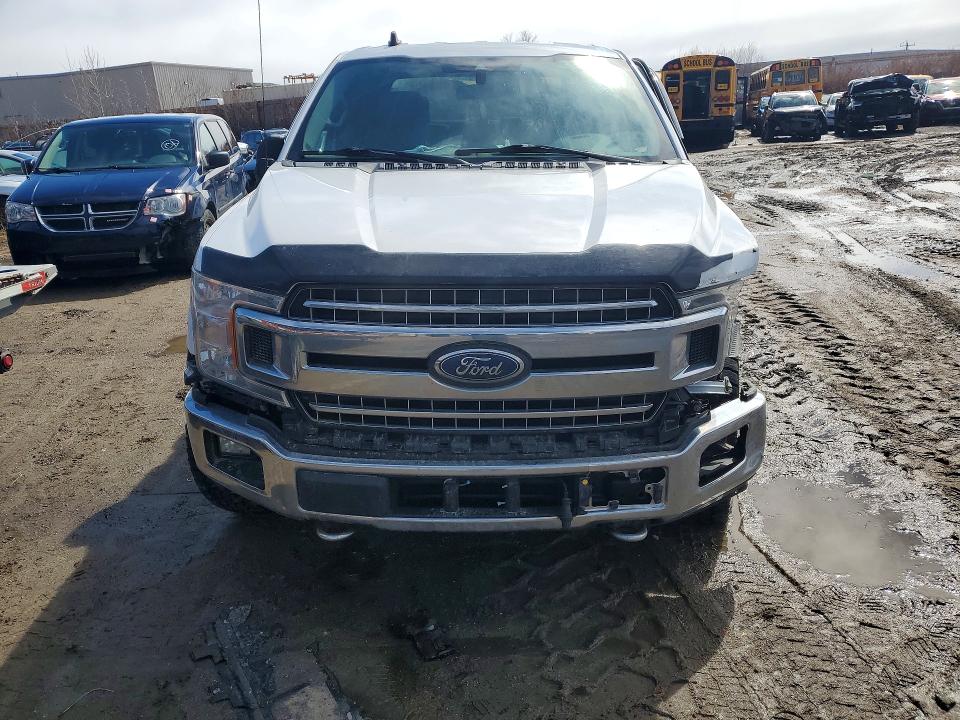 49437936 :رقم المزاد ، 1FTEW1EP0KKD01309 vin ، 2019 Ford F150 مزاد بيع