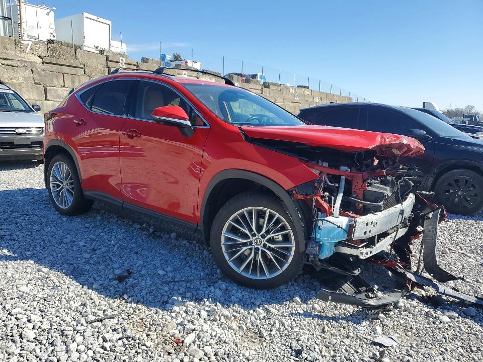 49004846 :رقم المزاد ، 2T2GKCEZ4SC036442 vin ، 2025 Lexus Nx 350h مزاد بيع