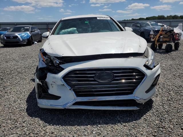 Aukcja sprzedaży 2019 Hyundai Sonata, vin: 5NPE24AFXKH795686, numer aukcji: 50704566