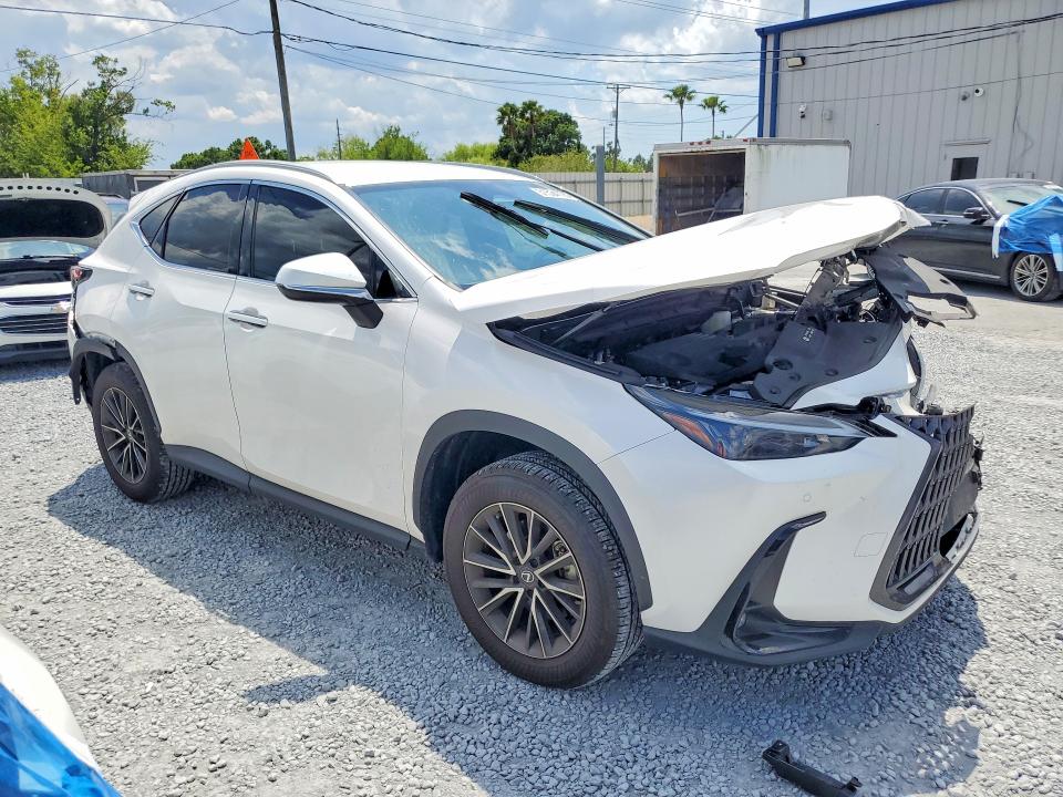 Aukcja sprzedaży 2025 Lexus Nx 250, vin: 2T2ADCAZ7SC018913, numer aukcji: 51534706