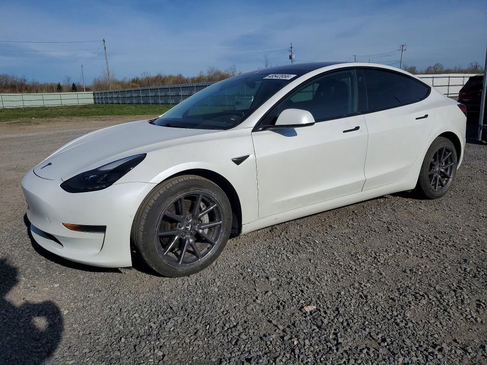 2021 Tesla Model 3 მანქანა იყიდება აუქციონზე, vin: 5YJ3E1EA2MF920385, აუქციონის ნომერი: 48543956