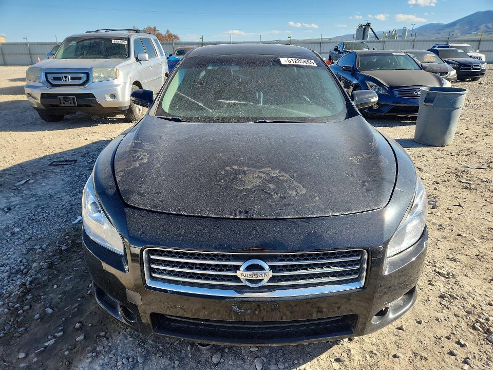 2009 Nissan Maxima მანქანა იყიდება აუქციონზე, vin: 1N4AA51E99C820863, აუქციონის ნომერი: 51285666
