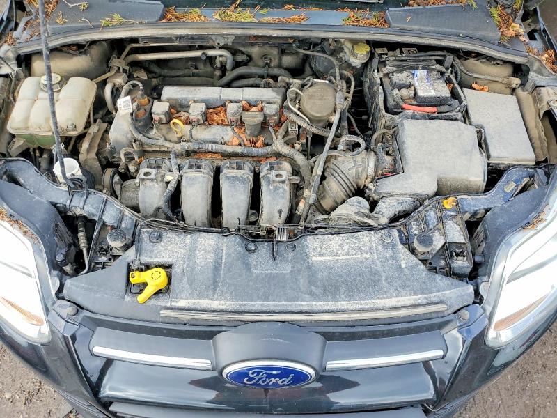 Aukcja sprzedaży 2013 Ford Focus, vin: 1FADP3K2XDL293042, numer aukcji: 49281686