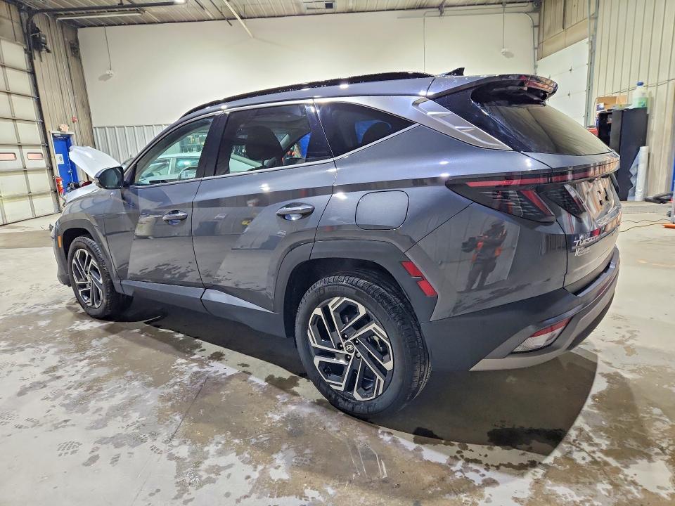 Продажа на аукционе авто 2025 Hyundai Tucson, vin: 5NMJECDE5SH496588, номер лота: 48809206