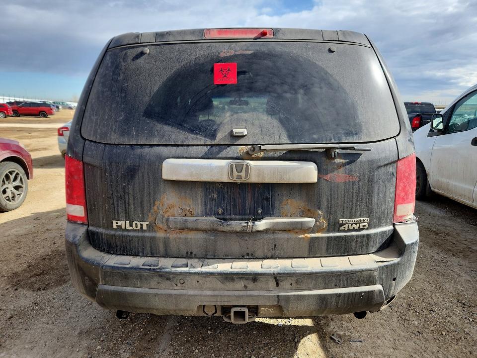 50485126 :رقم المزاد ، 5FNYF4H98AB504200 vin ، 2010 Honda Pilot مزاد بيع