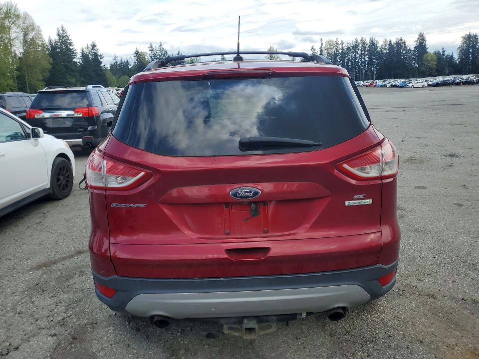 2014 Ford Escape მანქანა იყიდება აუქციონზე, vin: 1FMCU0GX6EUD34646, აუქციონის ნომერი: 50984276