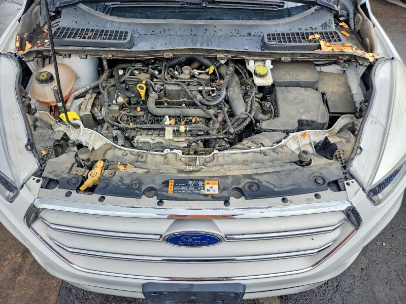 49110196 :رقم المزاد ، 1FMCU0GD0KUA41181 vin ، 2019 Ford Escape مزاد بيع