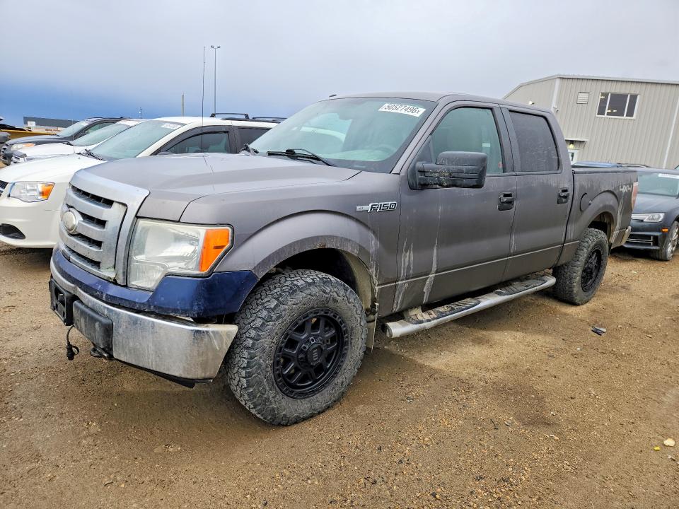 50527496 :رقم المزاد ، 1FTEW1E82AFC41033 vin ، 2010 Ford F150 مزاد بيع