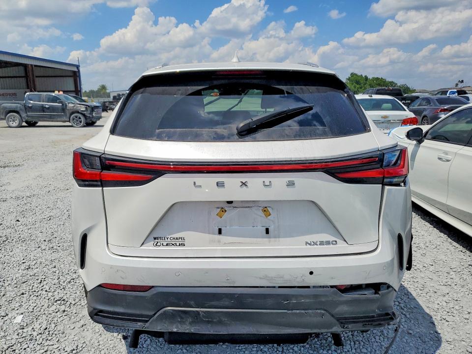 Aukcja sprzedaży 2025 Lexus Nx 250, vin: 2T2ADCAZ7SC018913, numer aukcji: 51534706