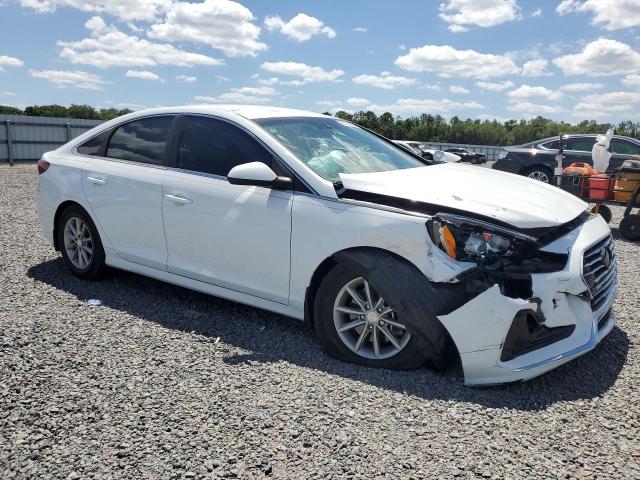 Aukcja sprzedaży 2019 Hyundai Sonata, vin: 5NPE24AFXKH795686, numer aukcji: 50704566