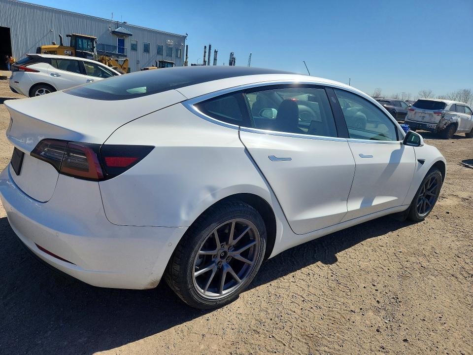 Продаж на аукціоні авто 2020 Tesla Model 3, vin: 5YJ3E1EA5LF529391, номер лоту: 51252256