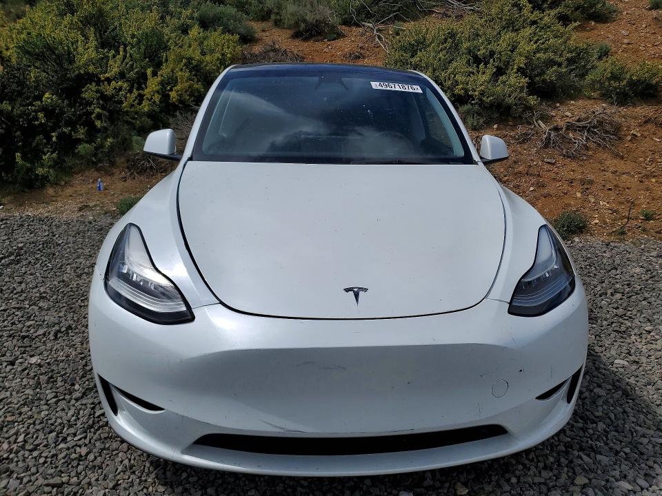Продажа на аукционе авто 2023 Tesla Model Y, vin: 7SAYGDEEXPA101472, номер лота: 49671876
