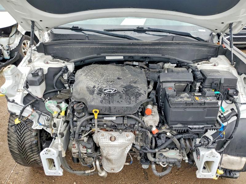 Aukcja sprzedaży 2023 Hyundai Palisade, vin: KM8R44GE5PU568778, numer aukcji: 50813976