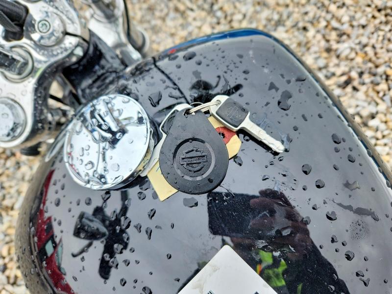 Продаж на аукціоні авто 2024 Harley Davidson Fxst, vin: 1HD1BVJ19RB015423, номер лоту: 51365786
