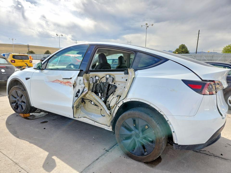 Продаж на аукціоні авто 2024 Tesla Model Y, vin: 7SAYGDEE6RA291855, номер лоту: 48062266